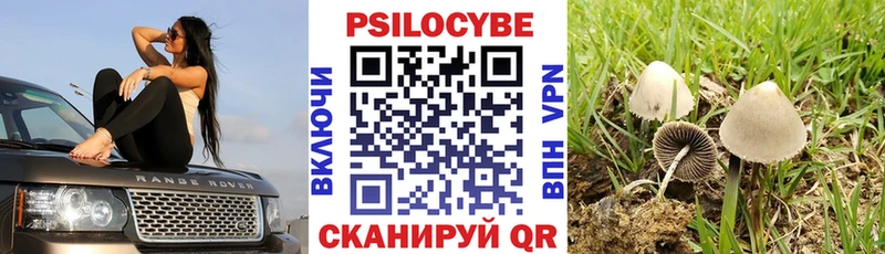 Галлюциногенные грибы мухоморы  Нижнеудинск 
