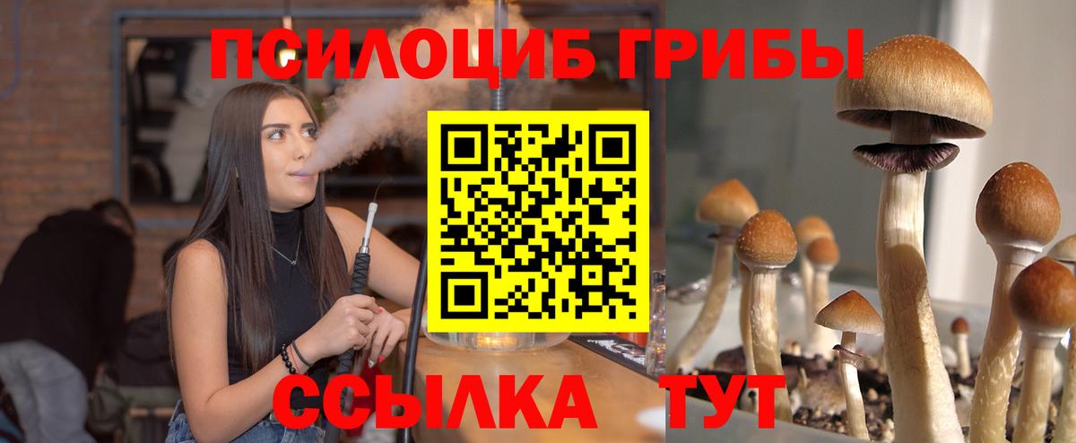 Псилоцибиновые грибы Magic Shrooms Нижнеудинск