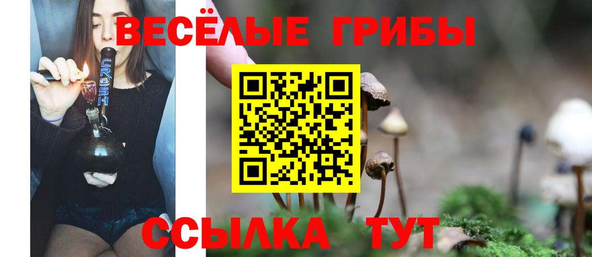 Hash Oil  Мефедрон  Кокаин  Каннабис  Продажа наркотиков  Вход с VPN  Канабис  НБОМе  XTC  Нижнеудинск  Плюхи  Кодеин 